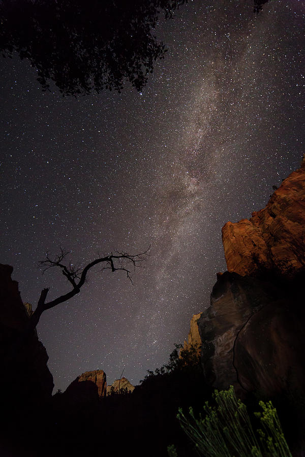 A Dark Night In Zion Canyon Photograph by David Watkins