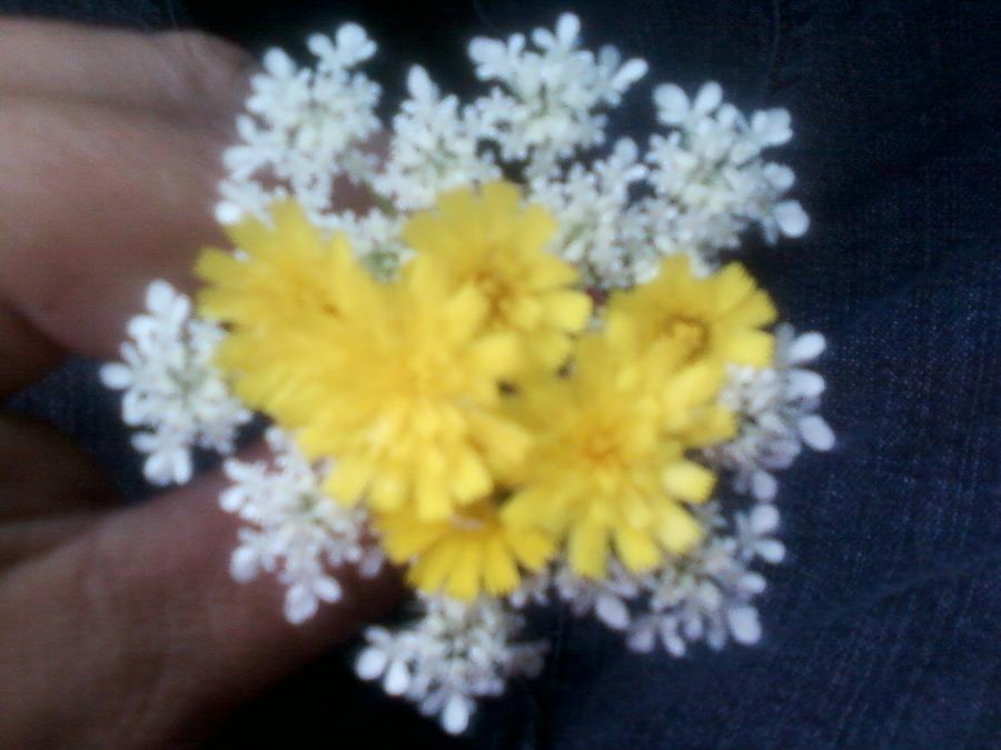 A Daughters love for Mother Photograph by Dawn Gibson