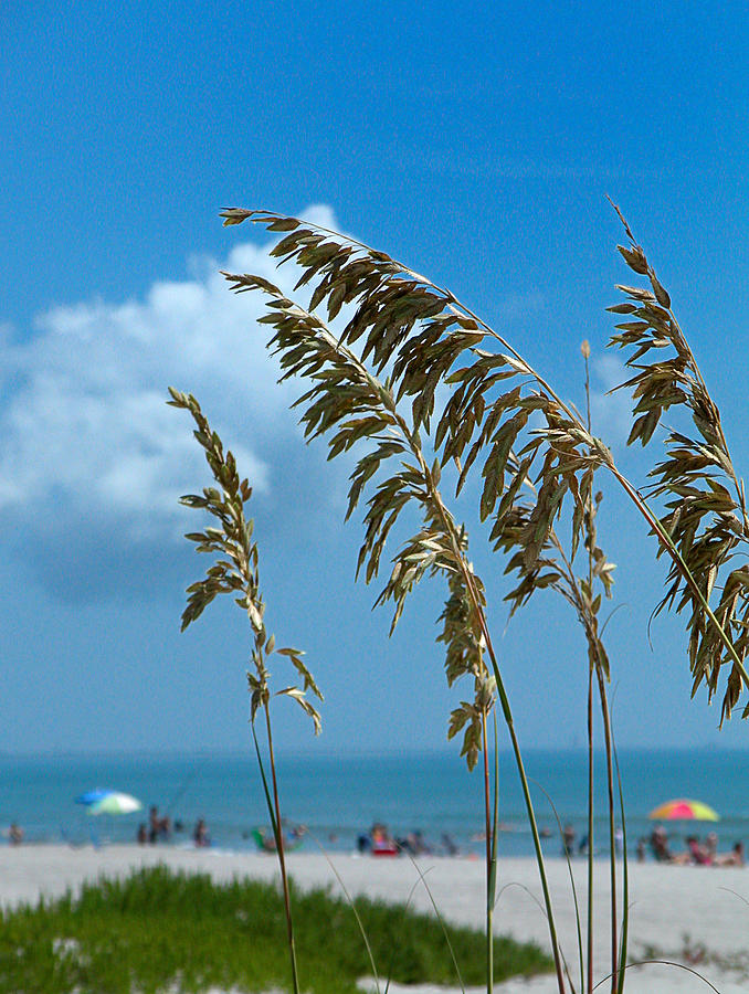 A Day at The Beach - Cocoa Beach FL Photograph by Frank Mari