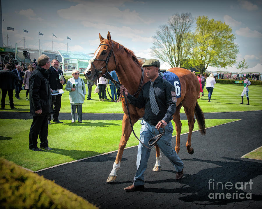 A Day At The races Photograph by Jack Torcello