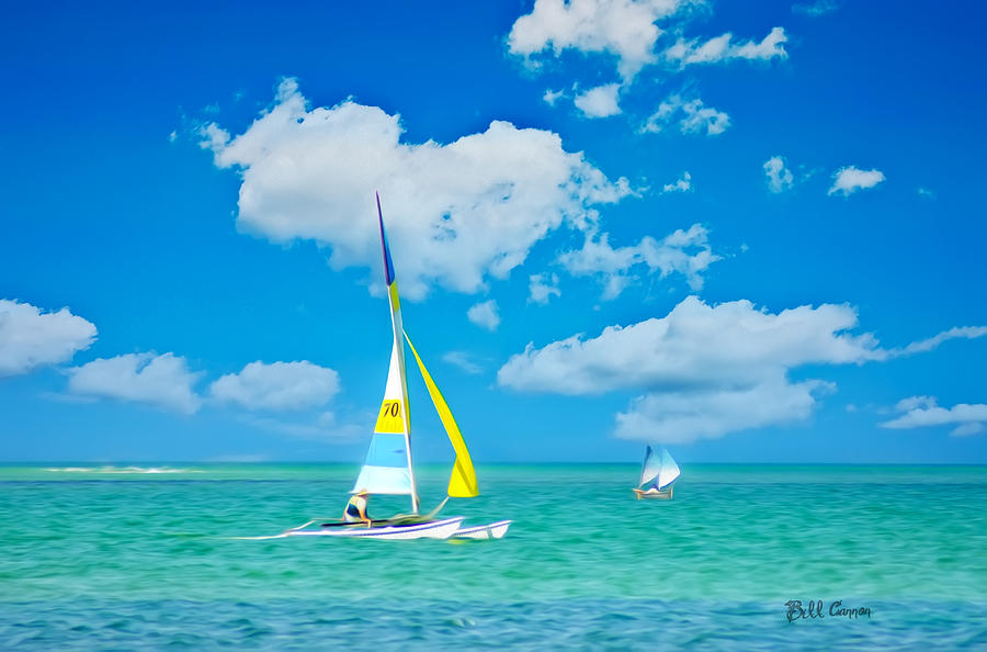 Boat Photograph - A Day for Sailing by Bill Cannon