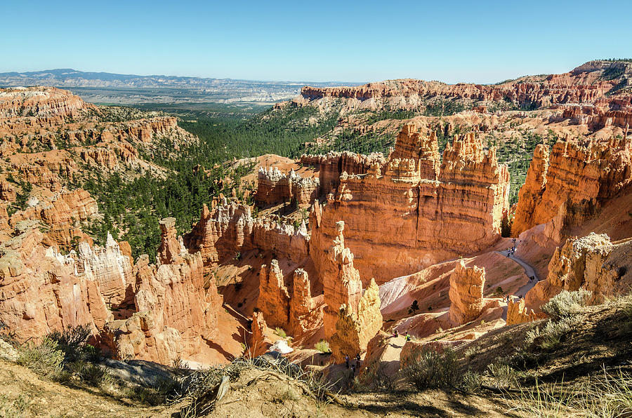 A Day in Bryce Canyon Photograph by Margaret Pitcher