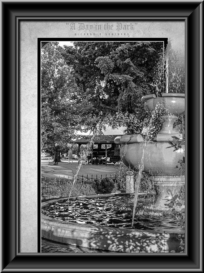 A Day In The Park BW Photograph by Rick Bartrand