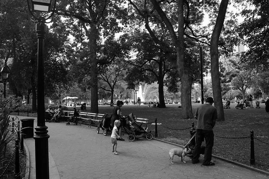 A Day in the Park Photograph by Christopher James