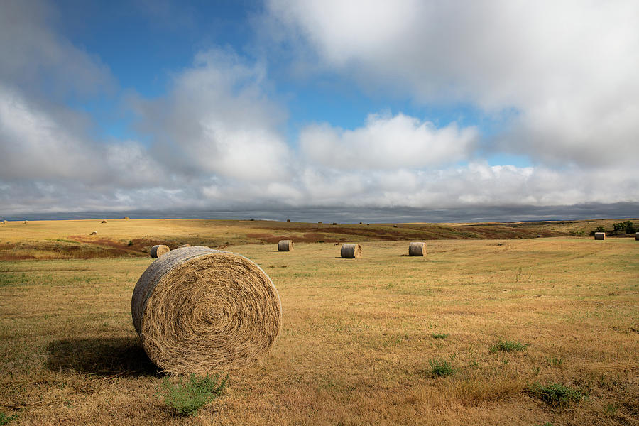 Nature Photograph - A Day on the Prairie - Hay Bales in South Dakota Field by Southern Plains Photography