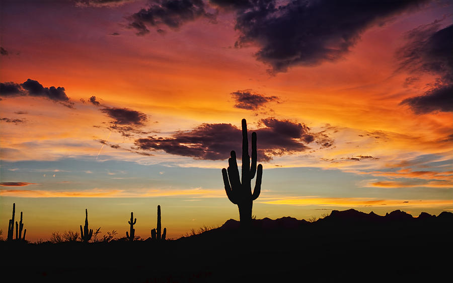 Sunset Photograph - A Desert Silhouette  by Saija Lehtonen