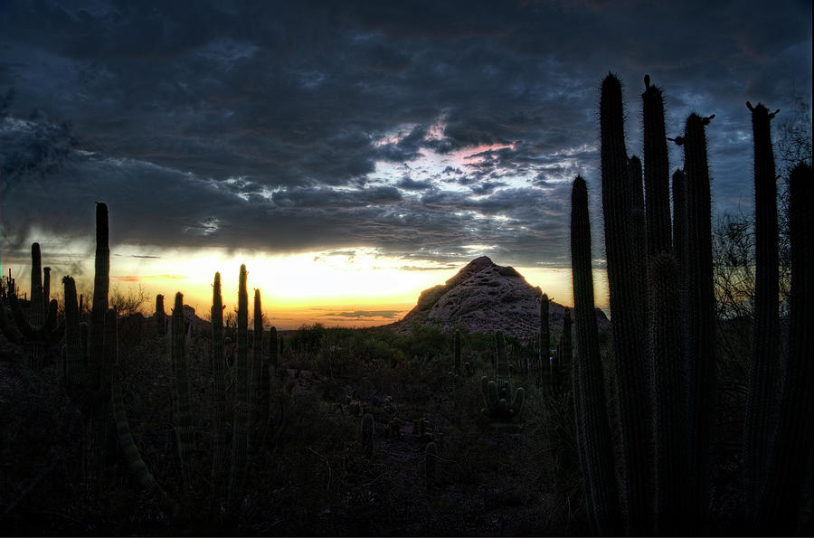 A Desert Sunset  Photograph by Saija Lehtonen