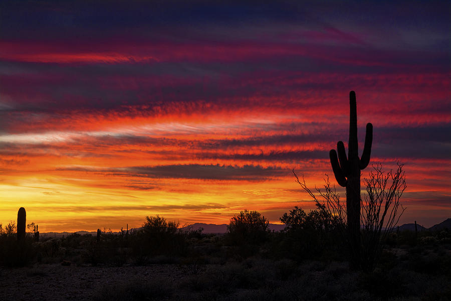 Sunset Photograph - A Desert Winter Sunset  by Saija Lehtonen