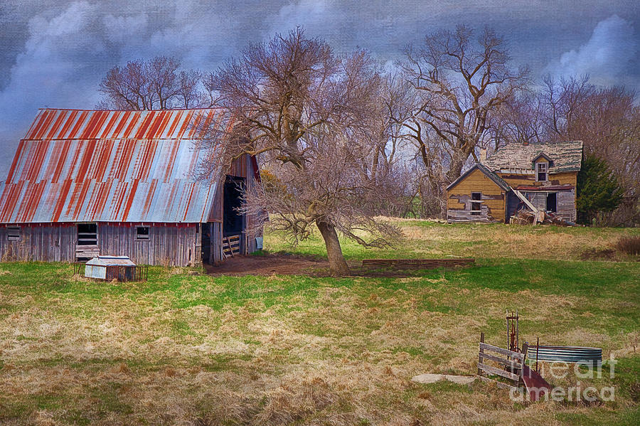 Farm Photograph - A Deserted Nebraska Farm by Priscilla Burgers