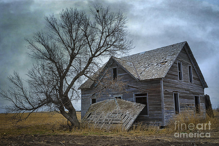 A Deserted Nebraska Homestead Photograph by Priscilla Burgers