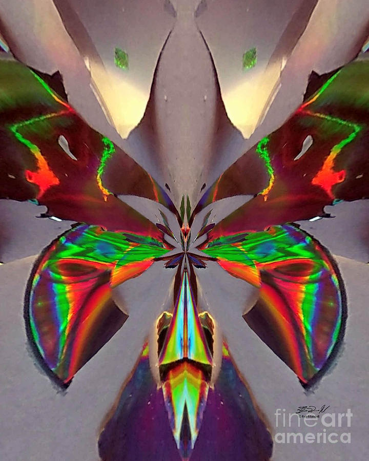 A Different Kind Of Butterfly Digital Art