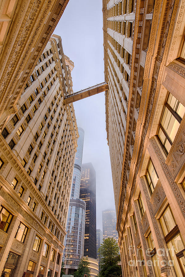 A Different Perspective of the Wrigley Building And Trump Tower Playing Hide and Seek - Chicago Photograph by Silvio Ligutti