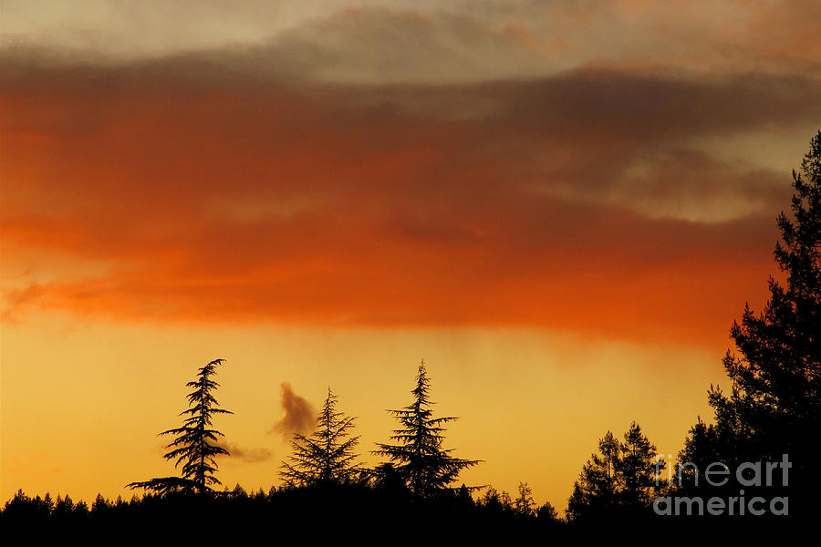 Sunset Photograph - A Distant Rain by CML Brown