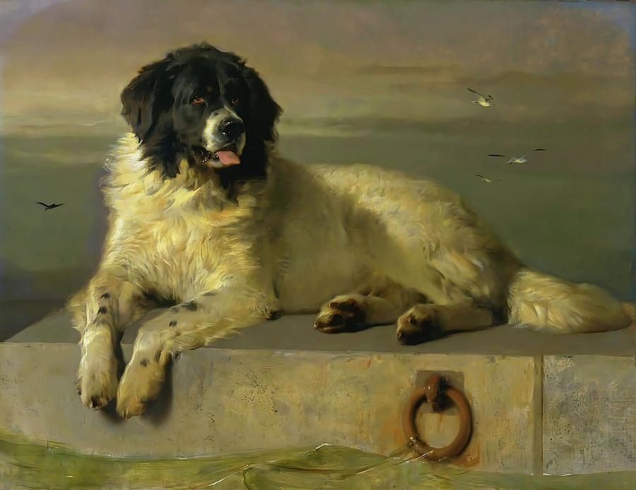 A Distinguished Member Of The Humane Society Painting By Mountain   A Distinguished Member Of The Humane Society Sir Edwin Landseer 