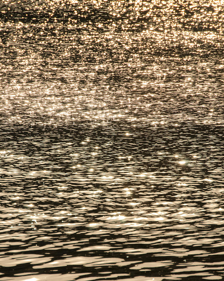 A dive in the golden waters Photograph by AM FineArtPrints