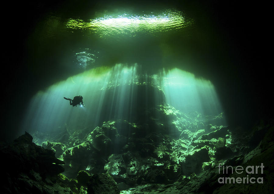 Nature Photograph - A Diver In The Garden Of Eden Cenote by Karen Doody