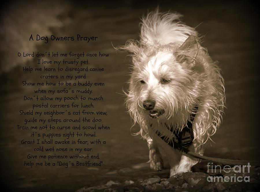 A Dog Owners Prayer Photograph by Clare Bevan