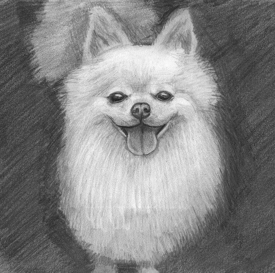 Dog Drawing - A Doggie 4 Xmas by Katie Alfonsi Dog Drawing - A Doggie 4 Xmas by Katie Alfonsi