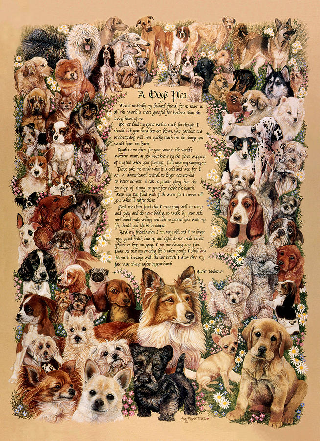 Dog Painting - A Dogs Plea by June Payne Hart