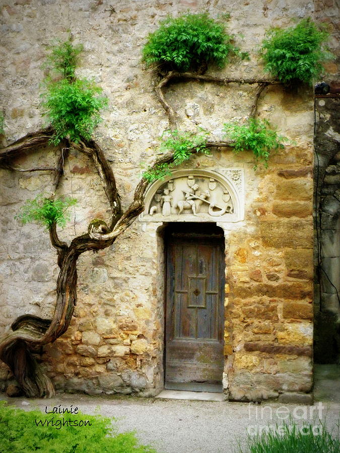 A Door in the Cloister Photograph by Lainie Wrightson