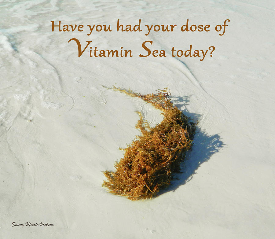 A Dose Of Vitamin Sea2 Photograph by Emmy Marie Vickers