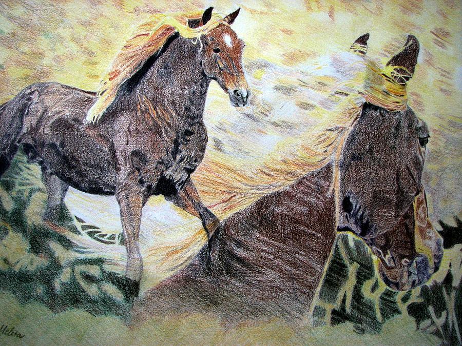 Horse Drawing - A dream by Melita Safran