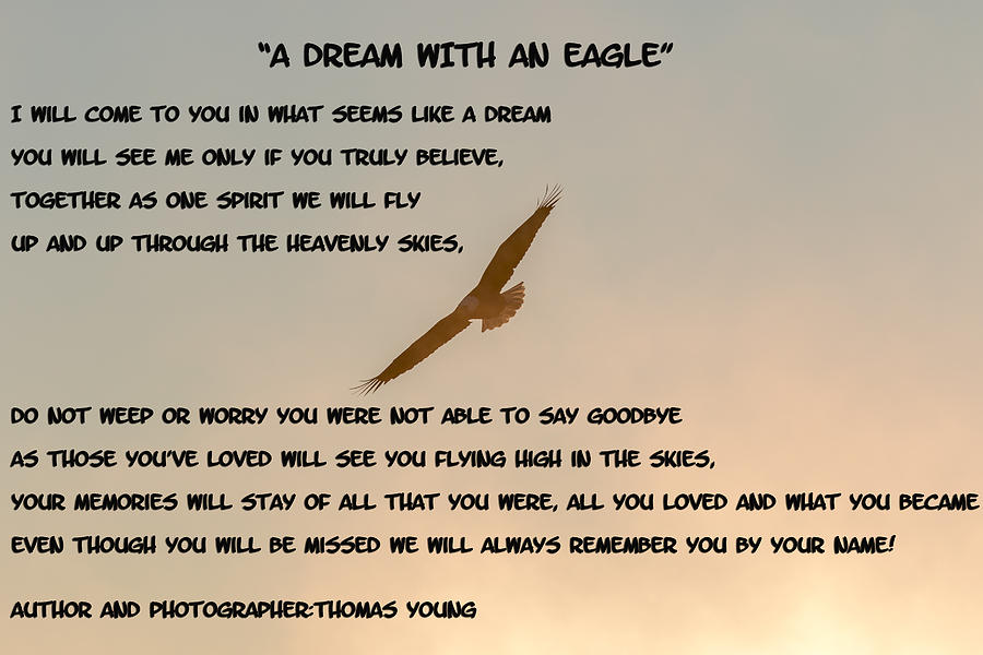 A Dream With An Eagle Photograph by Thomas Young