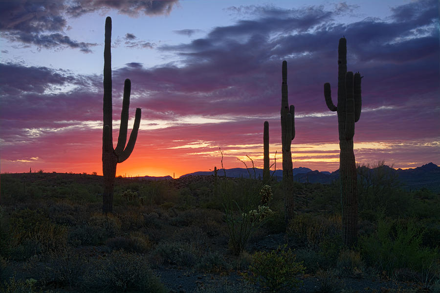 A Dreamy Desert Sunrise Photograph by Saija Lehtonen | Fine Art America