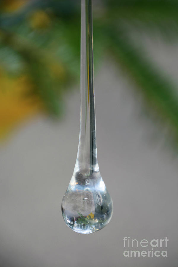 A Drop in Time Photograph by Cindy Manero