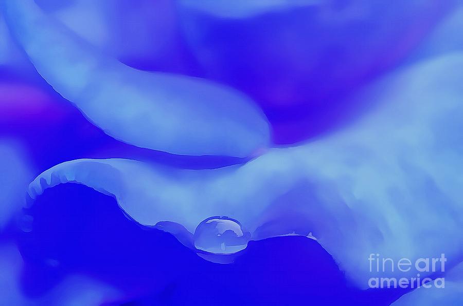 Abstract Photograph - A Drop Of Blue by Krissy Katsimbras