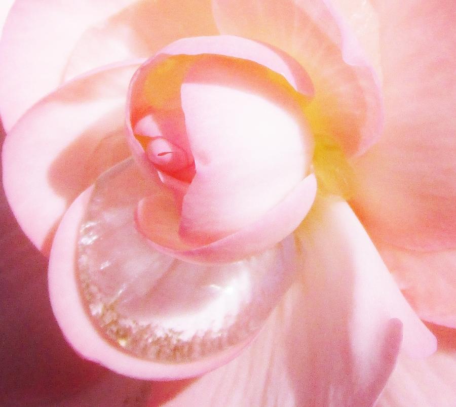 A Drop of Love Photograph by Sharon Ackley