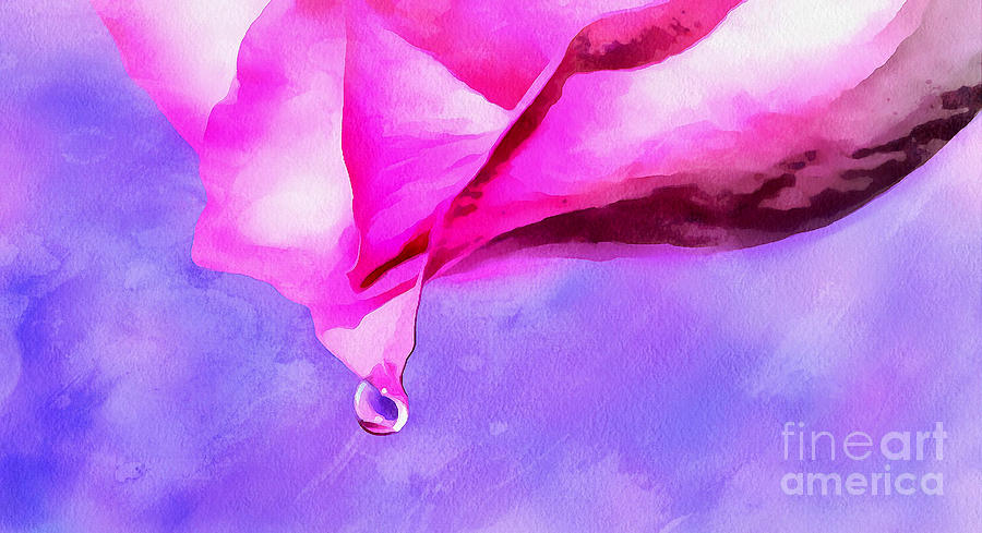 Nature Photograph - A Drop Of Spring by Krissy Katsimbras