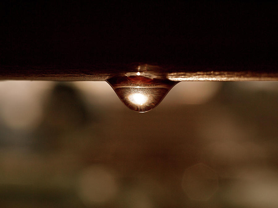 Water Photograph - A Drop of Sun by Rona Black