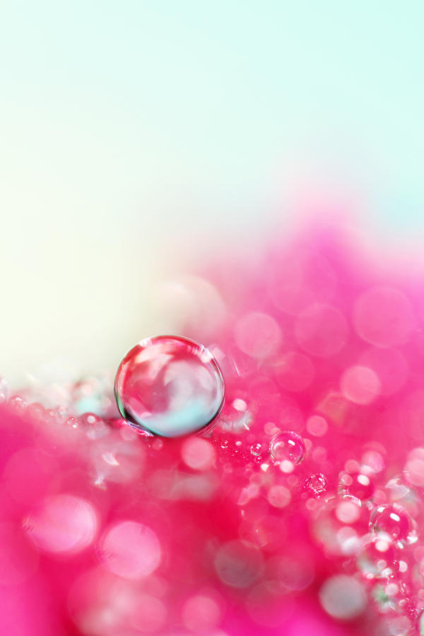 Abstract Photograph - A Drop with Raspberrys and Cream by Sharon Johnstone