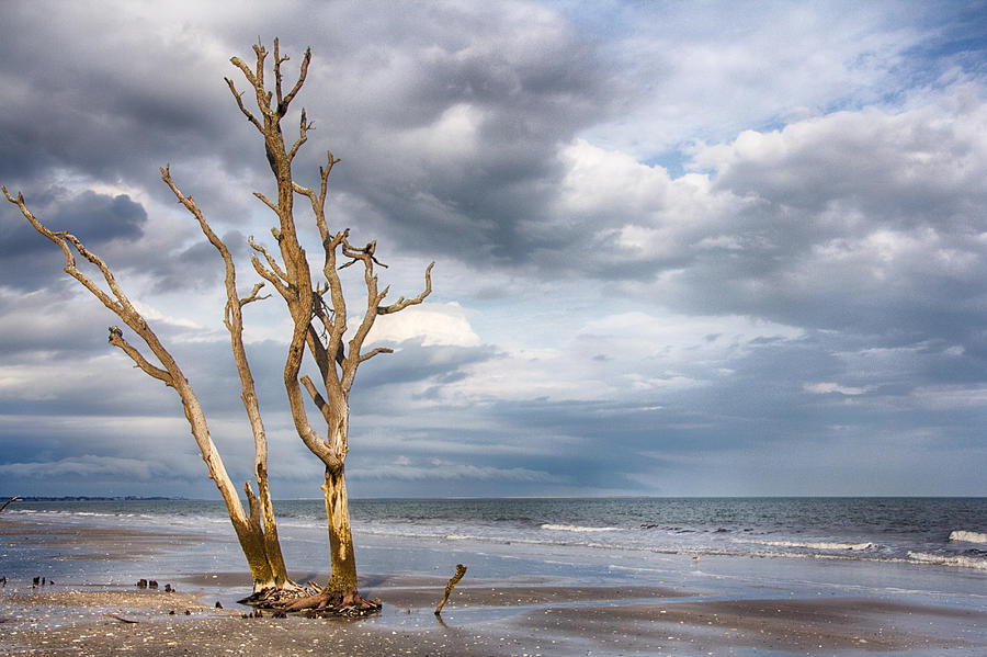 Beach Photograph - A Drowning by Paul Malen Beach Photograph - A Drowning by Paul Malen