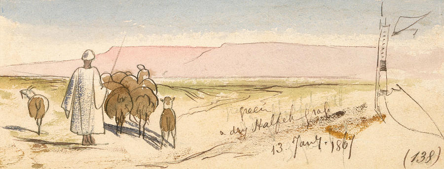 A Dry Halfeh Grass Drawing by Edward Lear