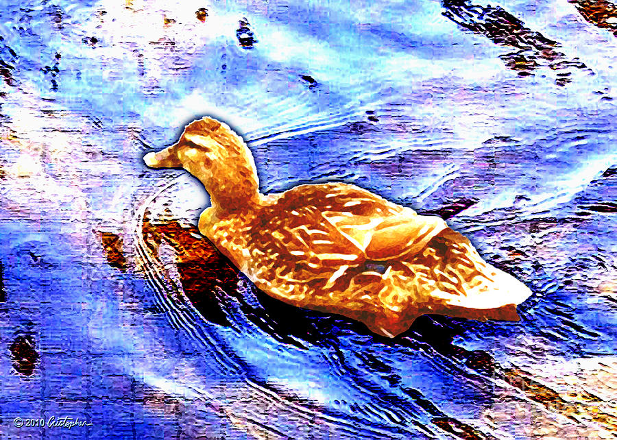 A Ducks Dream Photograph by Cristophers Dream Artistry