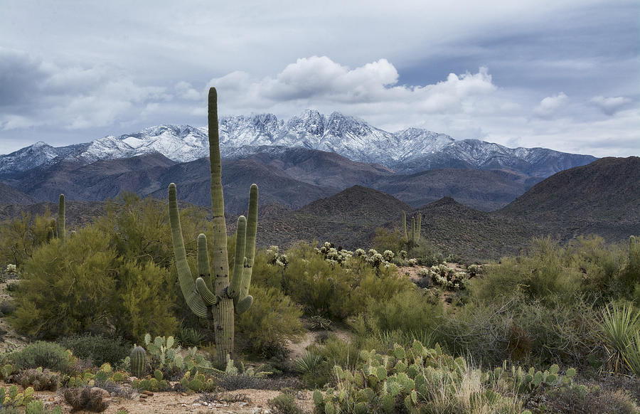 Mountain Photograph - A Dusting of Snow in the Sonoran Desert  by Saija Lehtonen