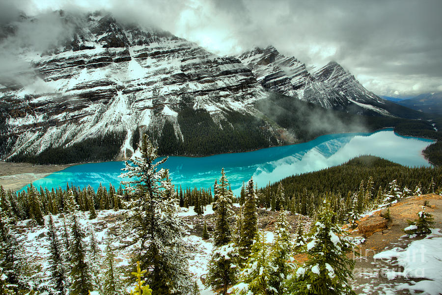A Dusting Of Spring Snow At Peyto Photograph by Adam Jewell