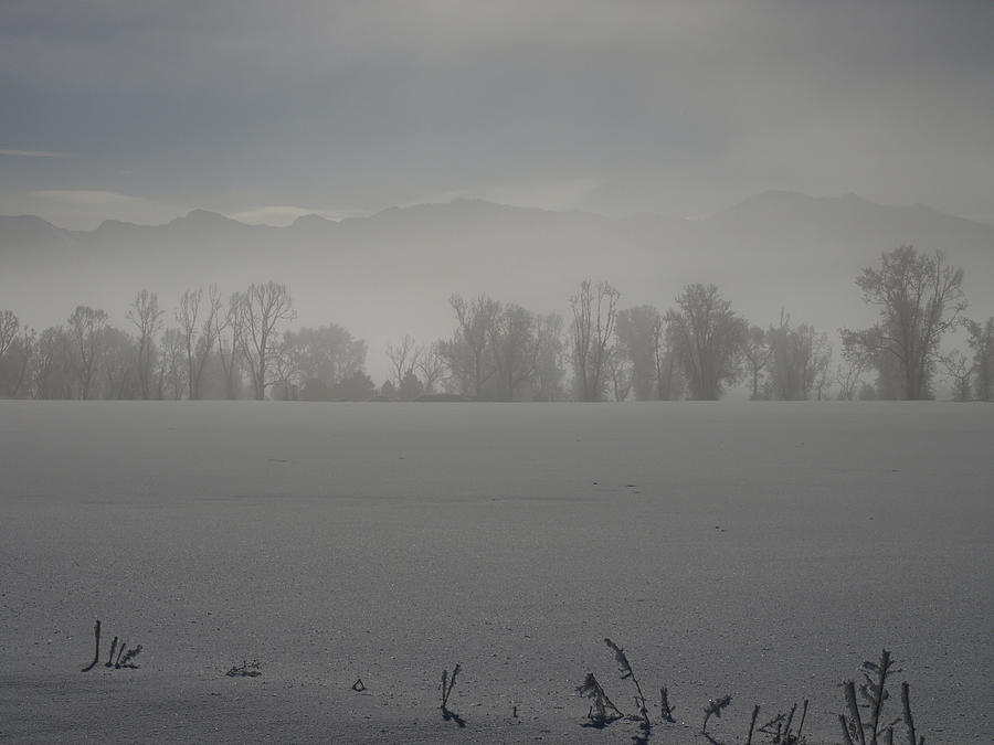 A Early Frosty Morn Photograph by DeeLon Merritt