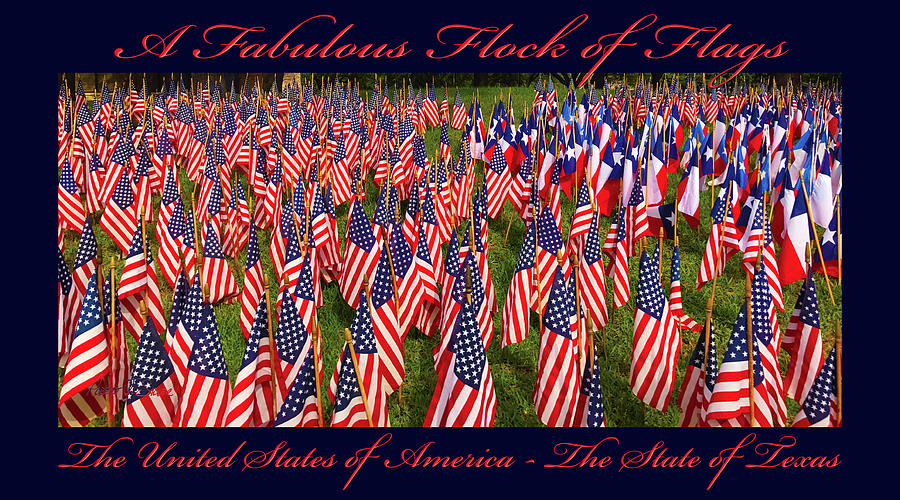 A Fabulous Flock of Flags Mixed Media by Robert J Sadler