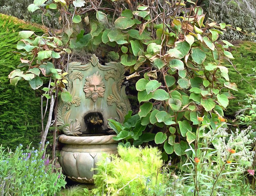 A Face In The Garden Photograph by Floyd Snyder