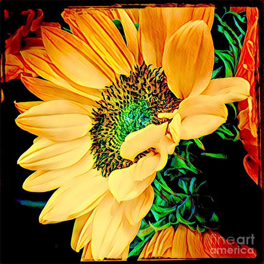 Sunflower Photograph - A Face to the Sun - Sunflower Up Close by Miriam Danar