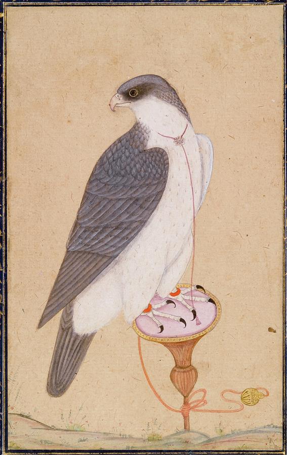 A falcon on a perch Painting by Eastern Accents