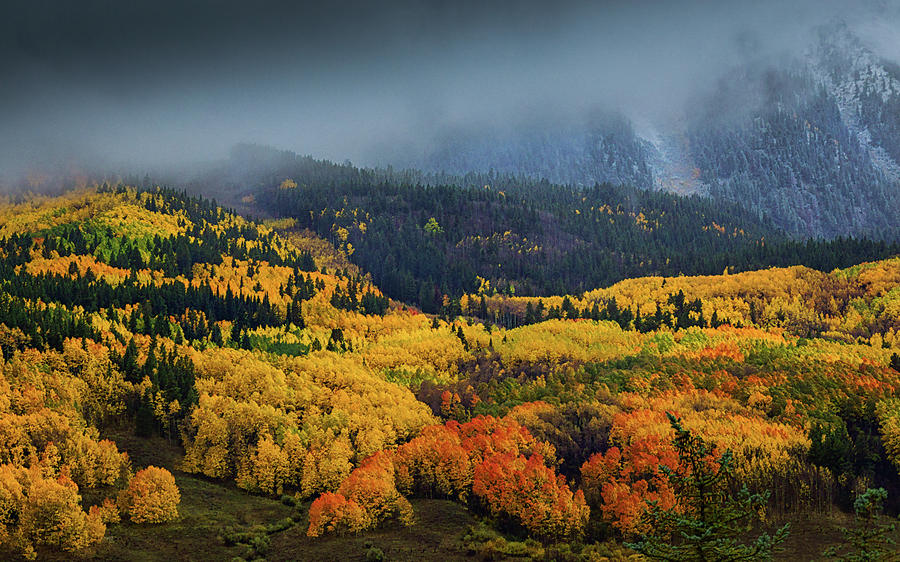 A Fall Atmosphere In Colorado Photograph by John De Bord