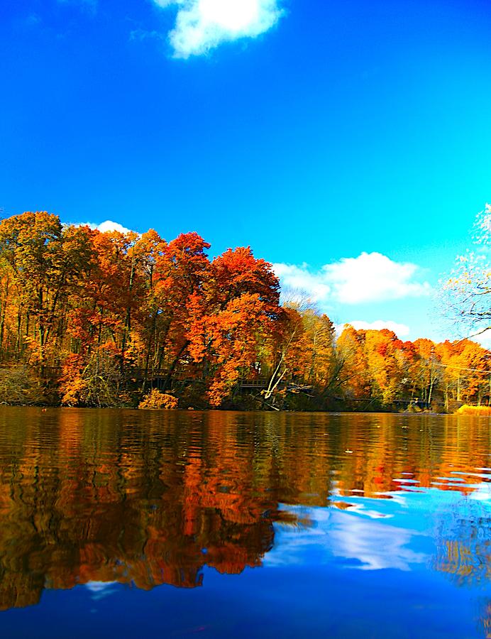 A Fall Reflection Photograph by Robert Pearson