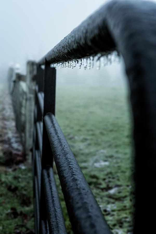 A Fence in Freezing Fog Photograph by Belinda Greb
