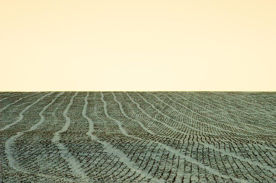 A Field Stitched Photograph by Todd Klassy