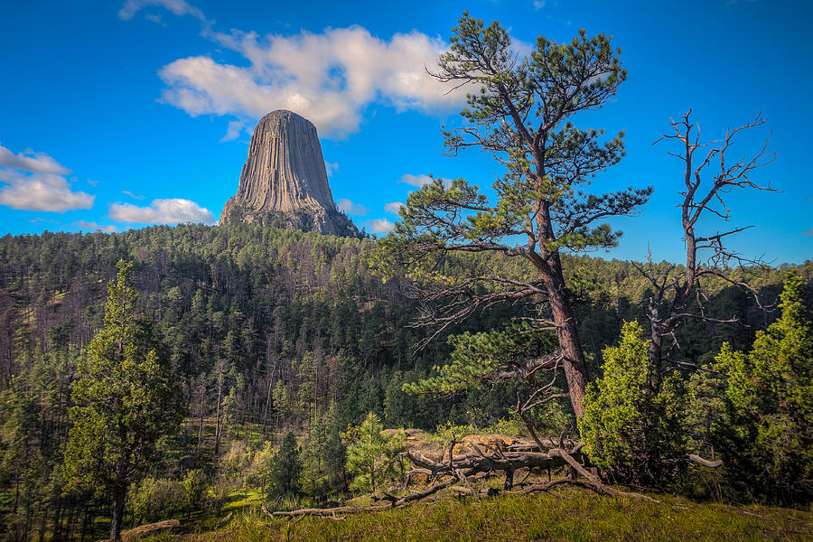 A fine summers day at Devils Tower Photograph by Rikk Flohr
