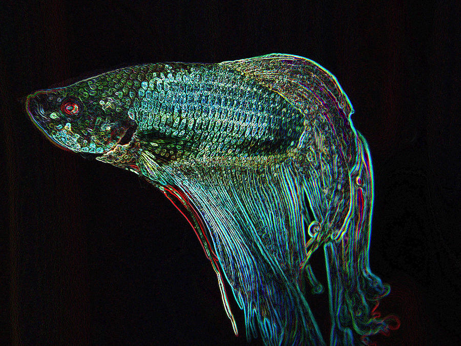 A Fish Called Poe 2 Digital Art by Julie Niemela